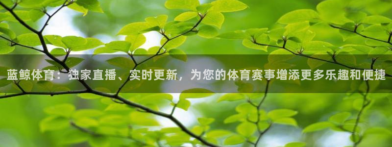 蓝鲸体育：独家直播、实时更新，为您的体育赛事增添更多乐趣和便捷