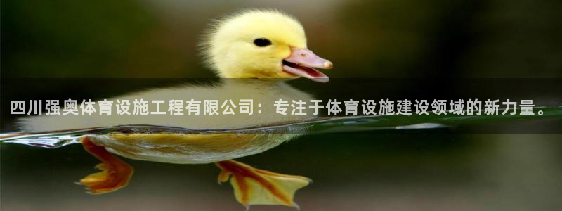 四川强奥体育设施工程有限公司：专注于体育设施建设领域的新力量。
