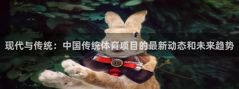 现代与传统：中国传统体育项目的最新动态和未来趋势