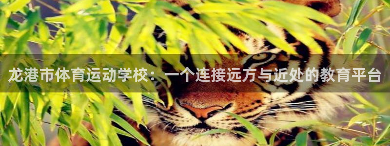 龙港市体育运动学校：一个连接远方与近处的教育平台