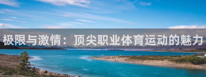 极限与激情：顶尖职业体育运动的魅力