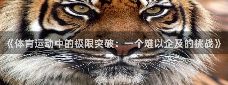 《体育运动中的极限突破：一个难以企及的挑战》