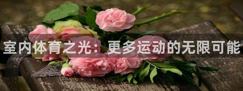 室内体育之光：更多运动的无限可能