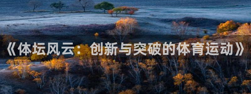 《体坛风云：创新与突破的体育运动》