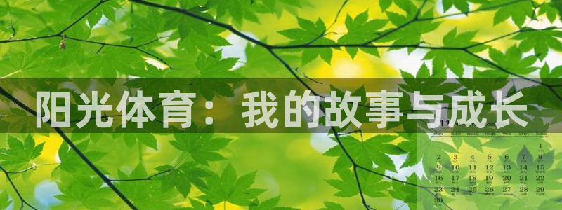 阳光体育：我的故事与成长