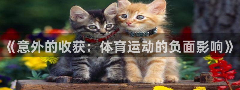 《意外的收获：体育运动的负面影响》