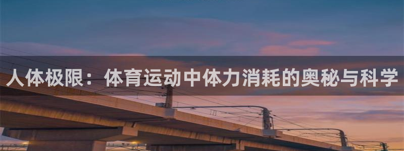 人体极限：体育运动中体力消耗的奥秘与科学