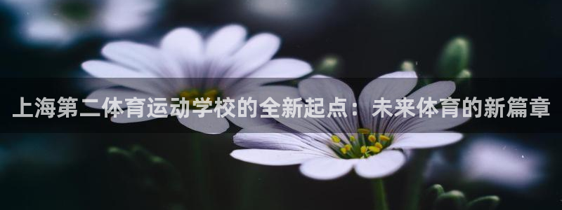 上海第二体育运动学校的全新起点：未来体育的新篇章