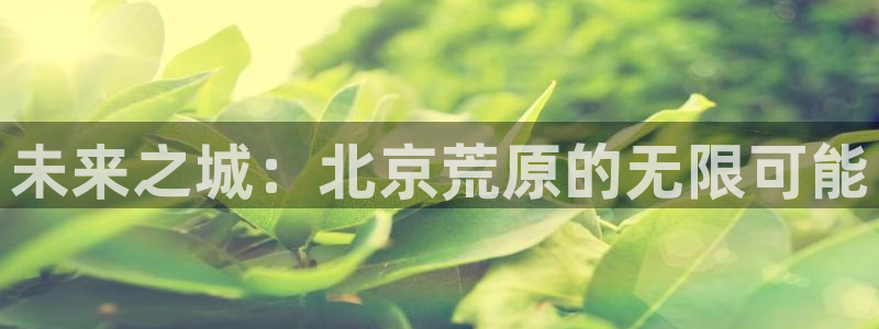 未来之城：北京荒原的无限可能