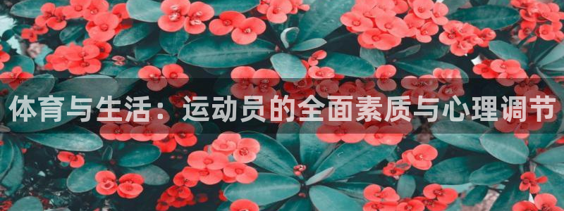 体育与生活：运动员的全面素质与心理调节