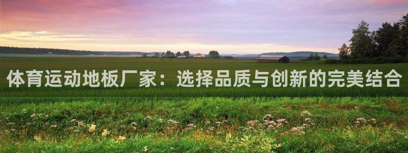 体育运动地板厂家：选择品质与创新的完美结合