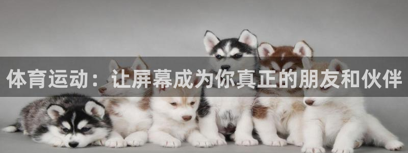 体育运动：让屏幕成为你真正的朋友和伙伴