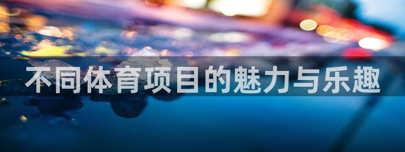 不同体育项目的魅力与乐趣