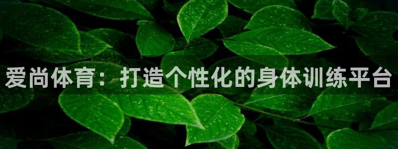 爱尚体育：打造个性化的身体训练平台