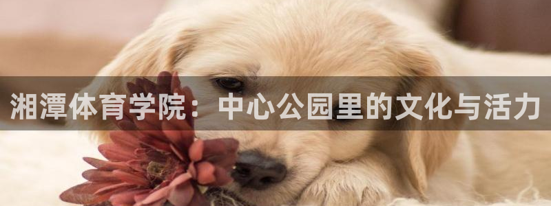湘潭体育学院：中心公园里的文化与活力
