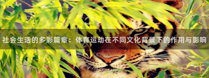 社会生活的多彩篇章：体育运动在不同文化背景下的作用与影响