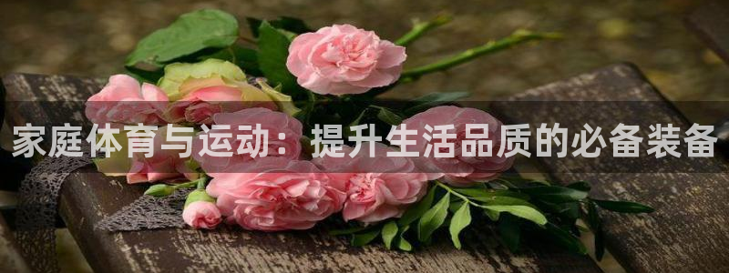 家庭体育与运动：提升生活品质的必备装备