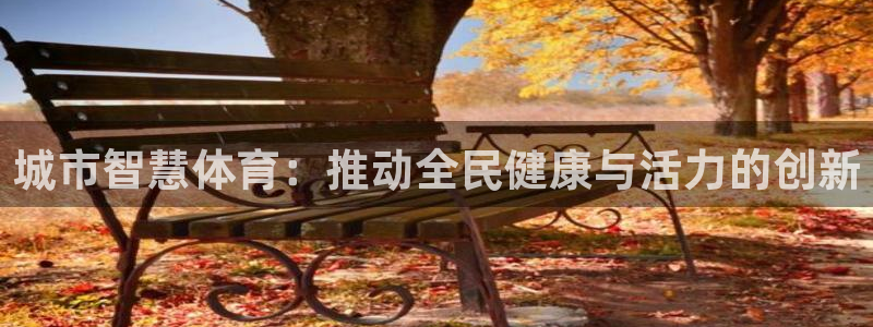 城市智慧体育：推动全民健康与活力的创新