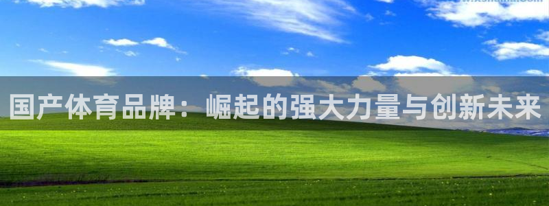 国产体育品牌：崛起的强大力量与创新未来