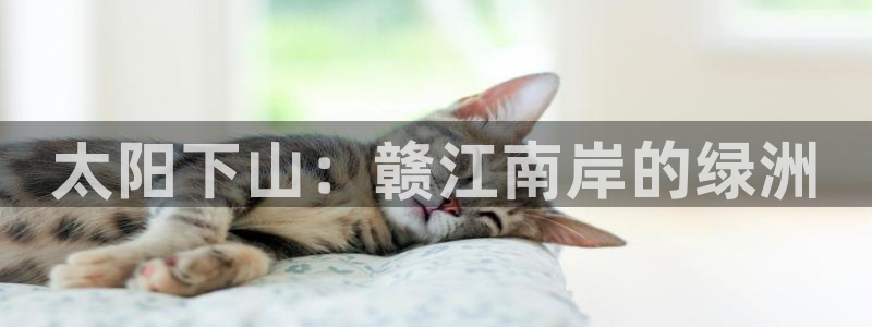 太阳下山：赣江南岸的绿洲