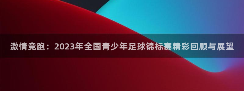 激情竞跑：2023年全国青少年足球锦标赛精彩回顾与展望