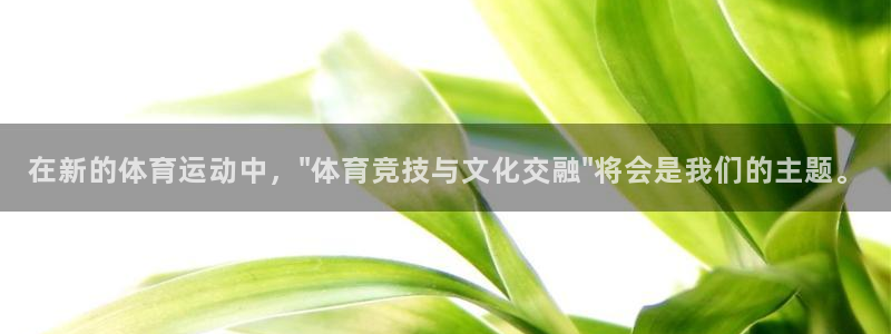 在新的体育运动中，\