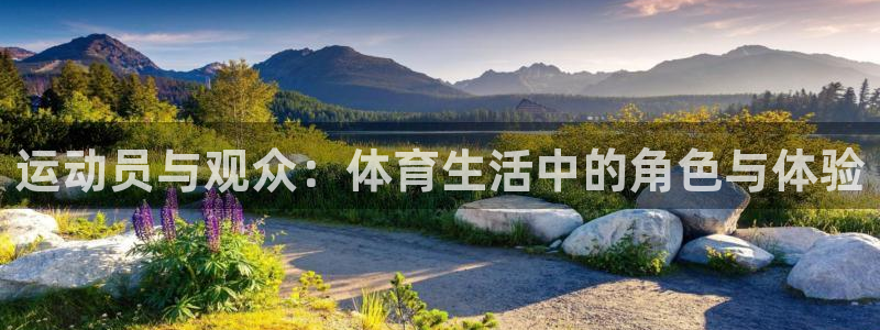 运动员与观众：体育生活中的角色与体验