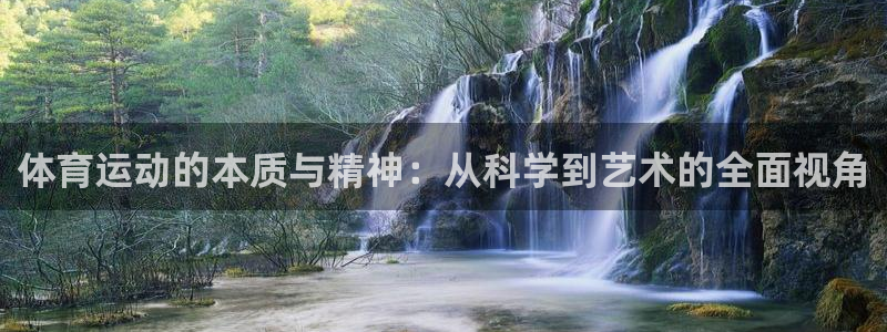 体育运动的本质与精神：从科学到艺术的全面视角