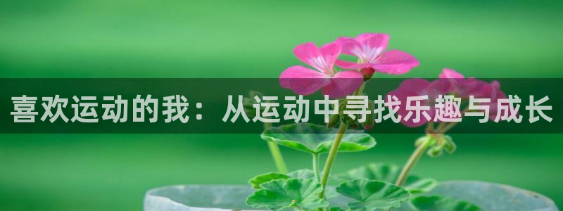 喜欢运动的我：从运动中寻找乐趣与成长