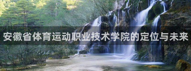 安徽省体育运动职业技术学院的定位与未来
