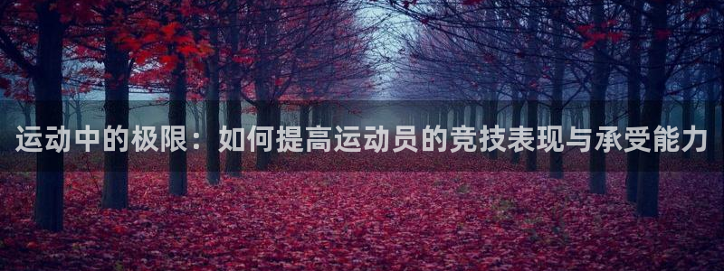 运动中的极限：如何提高运动员的竞技表现与承受能力