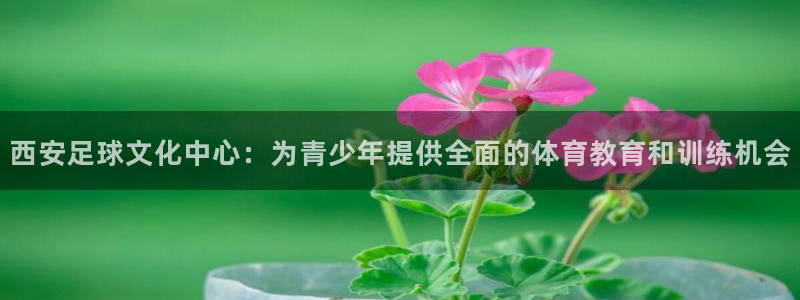 西安足球文化中心：为青少年提供全面的体育教育和训练机会