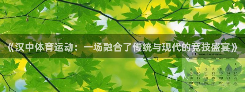 《汉中体育运动：一场融合了传统与现代的竞技盛宴》