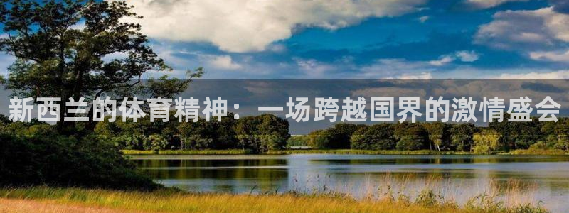 新西兰的体育精神：一场跨越国界的激情盛会