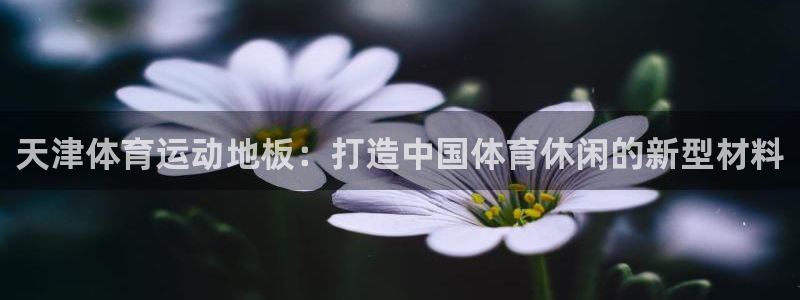 天津体育运动地板：打造中国体育休闲的新型材料
