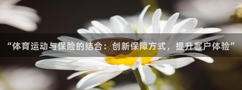 “体育运动与保险的结合：创新保障方式，提升客户体验”