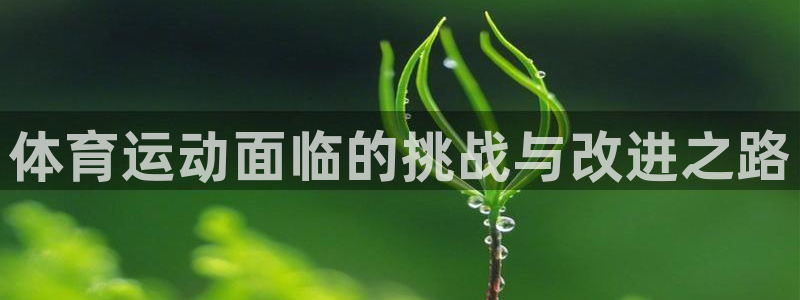 体育运动面临的挑战与改进之路