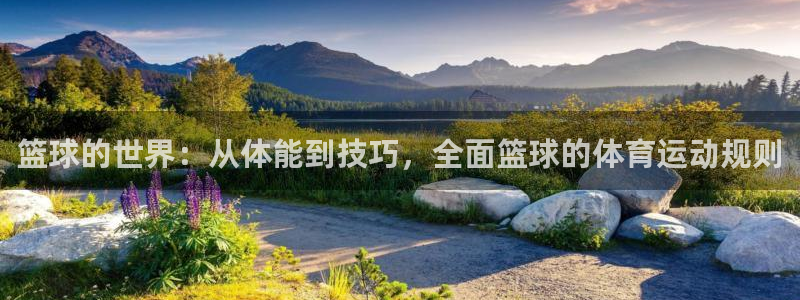 篮球的世界：从体能到技巧，全面篮球的体育运动规则