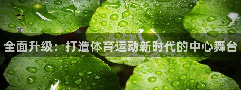 全面升级：打造体育运动新时代的中心舞台