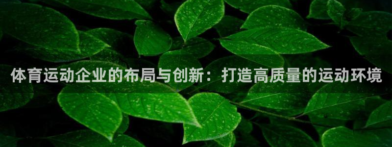 体育运动企业的布局与创新：打造高质量的运动环境