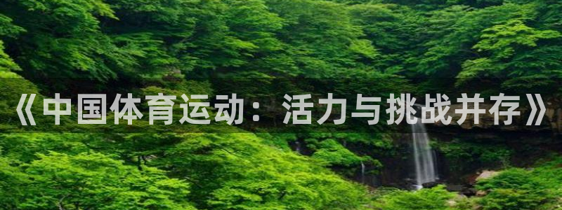 《中国体育运动：活力与挑战并存》